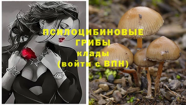 синтетический гашиш Михайловск