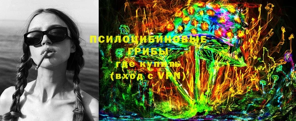 тгк Михайлов